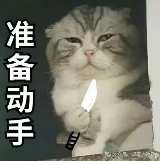 观雨：坚持头铁是高市早苗的策略，但实力的鸿沟她永远无法逾越|2025-12-11-汉风1918-汉唐归来-惟有中华