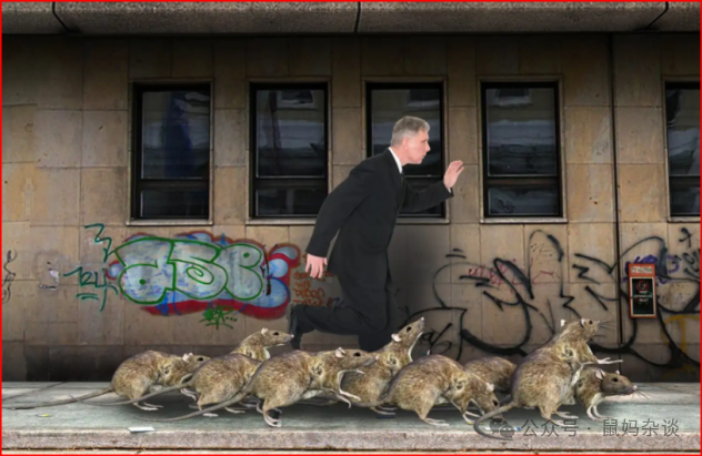 纽约地铁里的老鼠