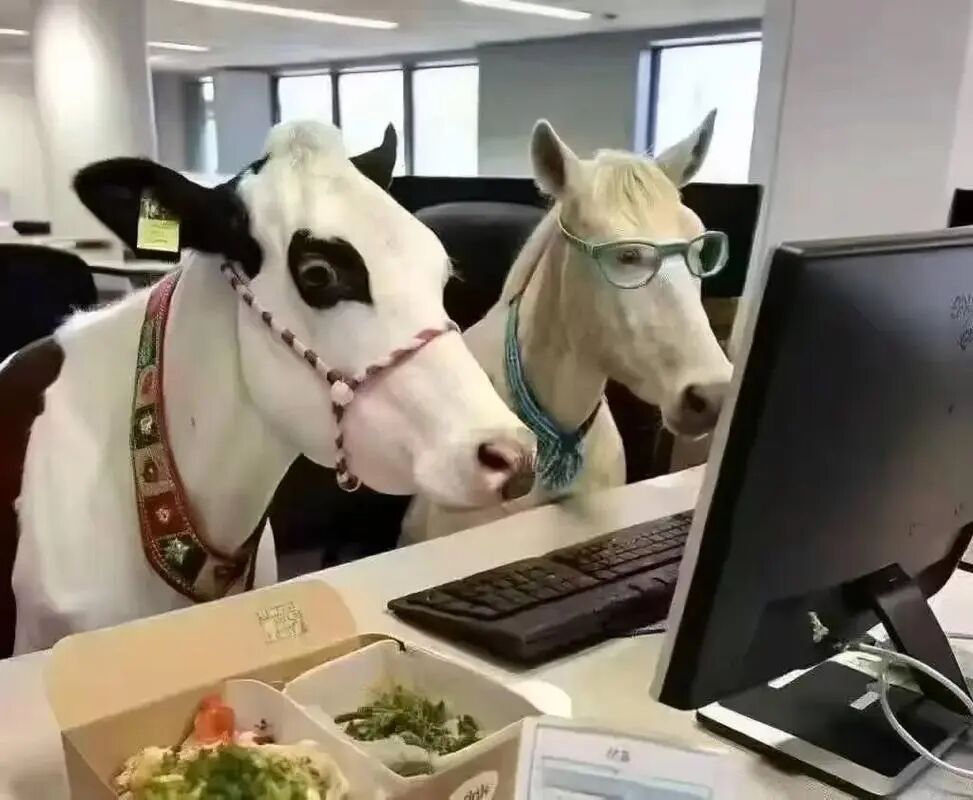 学术牛马