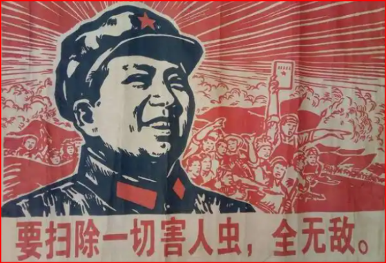 要扫除一切害人虫，全无敌