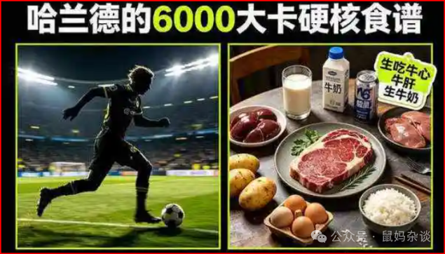 哈兰德食谱