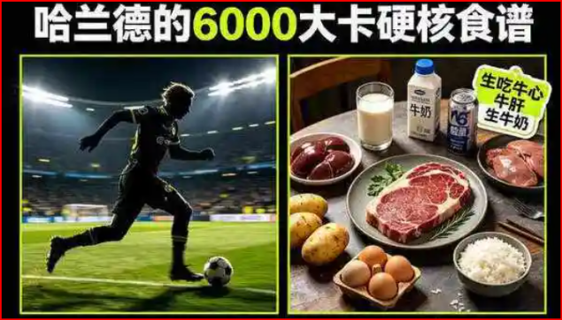 哈兰德食谱