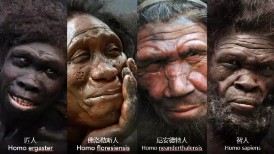 一棵青木:十万年了，忘战必危|2026-08-23-汉风1918-汉唐归来-惟有中华