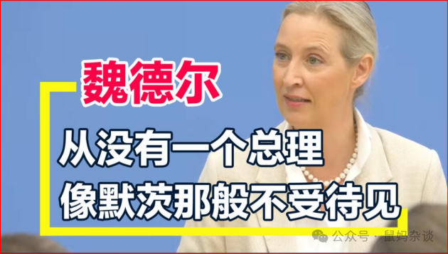 魏德尔从没一个总理像默茨一样不受人待见