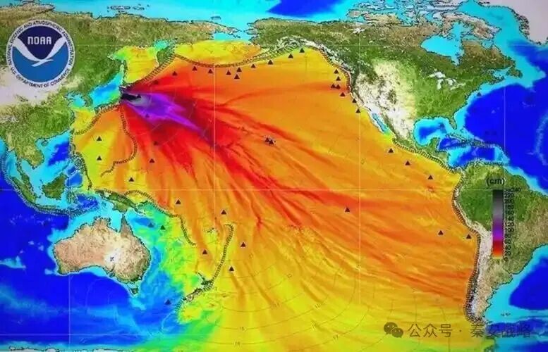 日本核污染水排放及其对海洋生态和人类健康的影响